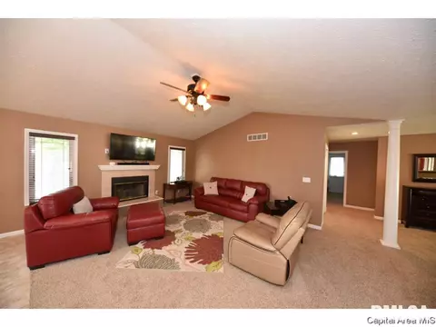 808 Chestnut Ct, Chatham, IL 62629 photo 5