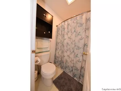 808 Chestnut Ct, Chatham, IL 62629 photo 22