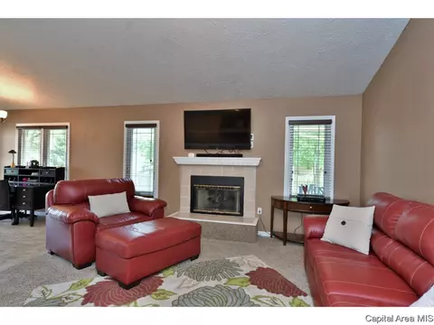 808 Chestnut Ct, Chatham, IL 62629 photo 4