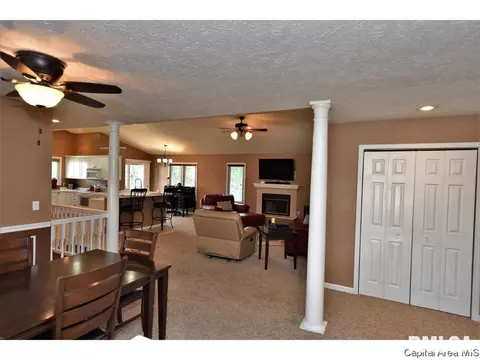 808 Chestnut Ct, Chatham, IL 62629 photo 6