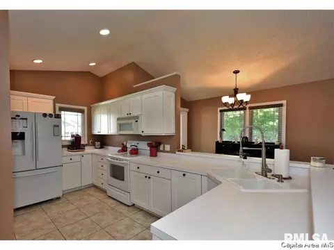 808 Chestnut Ct, Chatham, IL 62629 photo 12