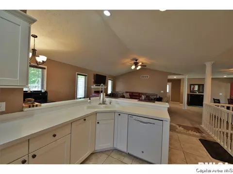 808 Chestnut Ct, Chatham, IL 62629 photo 14