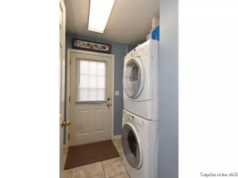 808 Chestnut Ct, Chatham, IL 62629 photo 17