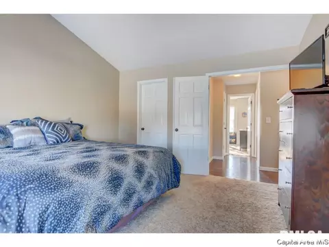 409 Eagle Ridge Dr, Chatham, IL 62629 photo 17