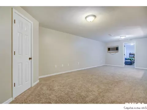409 Eagle Ridge Dr, Chatham, IL 62629 photo 27