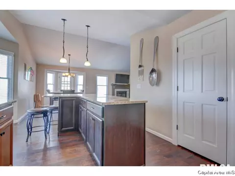 409 Eagle Ridge Dr, Chatham, IL 62629 photo 14