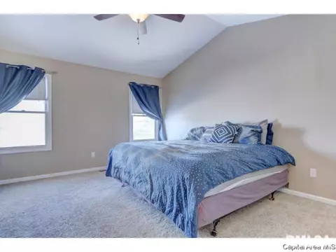 409 Eagle Ridge Dr, Chatham, IL 62629 photo 18