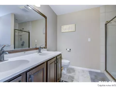 409 Eagle Ridge Dr, Chatham, IL 62629 photo 20