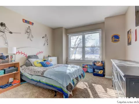 409 Eagle Ridge Dr, Chatham, IL 62629 photo 21