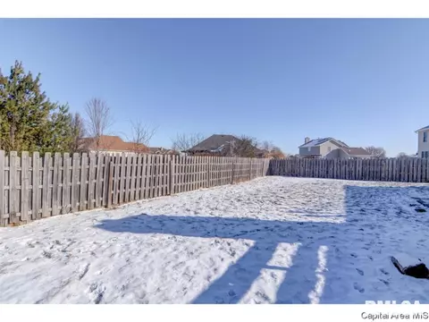 409 Eagle Ridge Dr, Chatham, IL 62629 photo 31