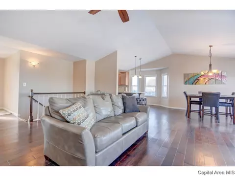 409 Eagle Ridge Dr, Chatham, IL 62629 photo 8