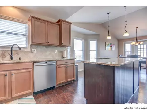 409 Eagle Ridge Dr, Chatham, IL 62629 photo 15