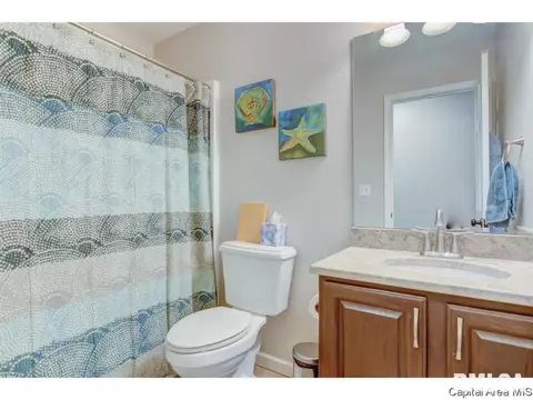 409 Eagle Ridge Dr, Chatham, IL 62629 photo 22