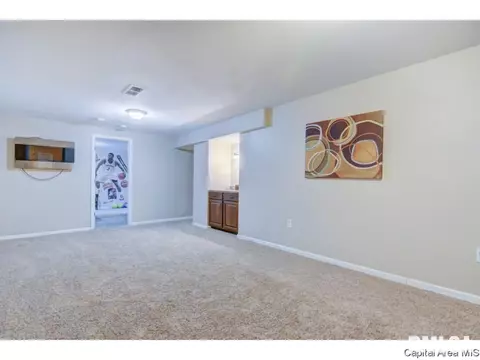 409 Eagle Ridge Dr, Chatham, IL 62629 photo 28