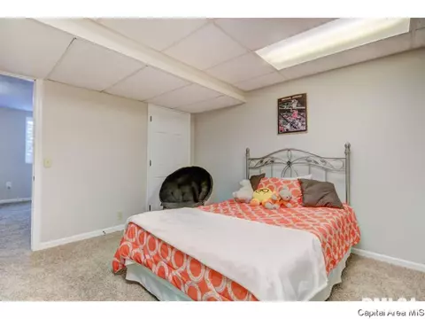 409 Eagle Ridge Dr, Chatham, IL 62629 photo 26