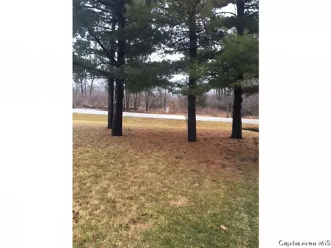 5244-5246 Carlton, Springfield, IL 62703 photo 5