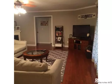 1308 Harmony Ct, Springfield, IL 62703 photo 3