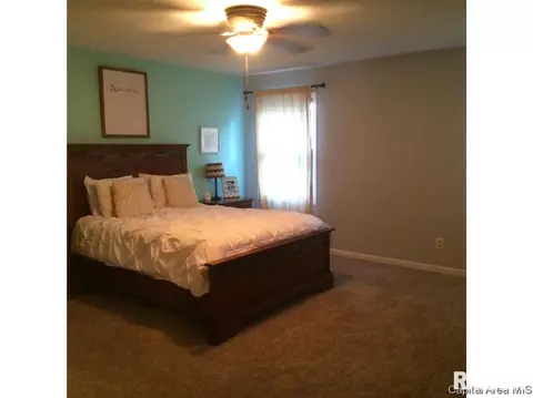 1308 Harmony Ct, Springfield, IL 62703 photo 8