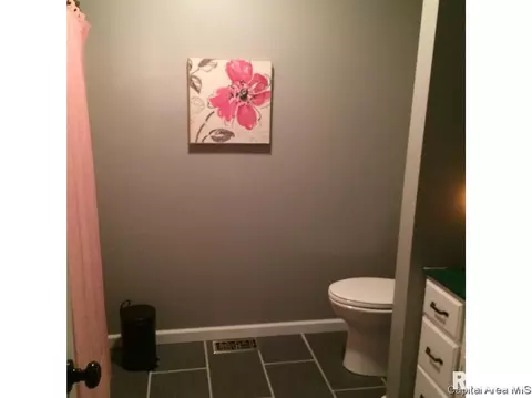 1308 Harmony Ct, Springfield, IL 62703 photo 13