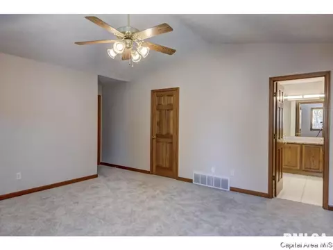 407 Dover Ct, Chatham, IL 62629 photo 23
