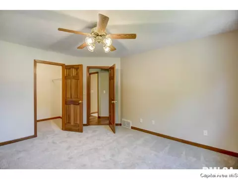 407 Dover Ct, Chatham, IL 62629 photo 20