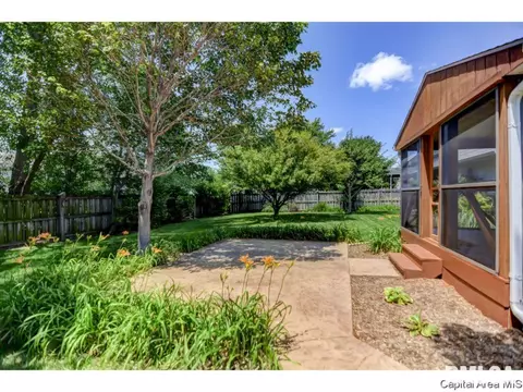 407 Dover Ct, Chatham, IL 62629 photo 18