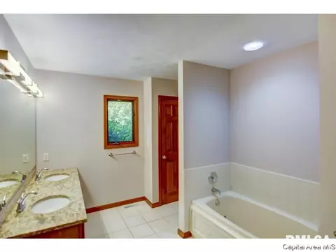 407 Dover Ct, Chatham, IL 62629 photo 34