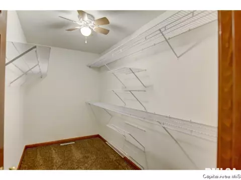 407 Dover Ct, Chatham, IL 62629 photo 12