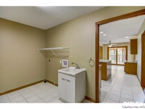 407 Dover Ct, Chatham, IL 62629 photo 33