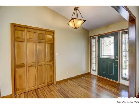 407 Dover Ct, Chatham, IL 62629 photo 3
