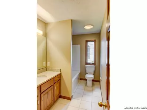 407 Dover Ct, Chatham, IL 62629 photo 13