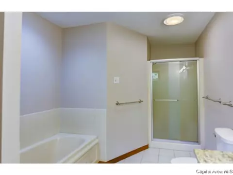 407 Dover Ct, Chatham, IL 62629 photo 35