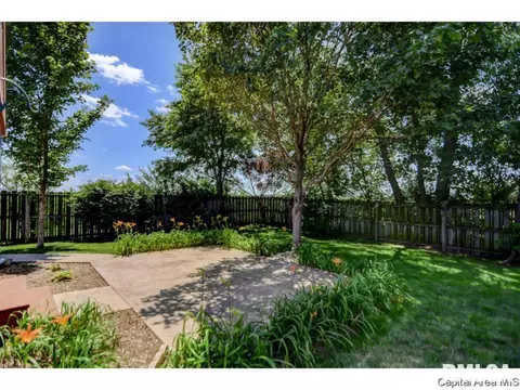 407 Dover Ct, Chatham, IL 62629 photo 22