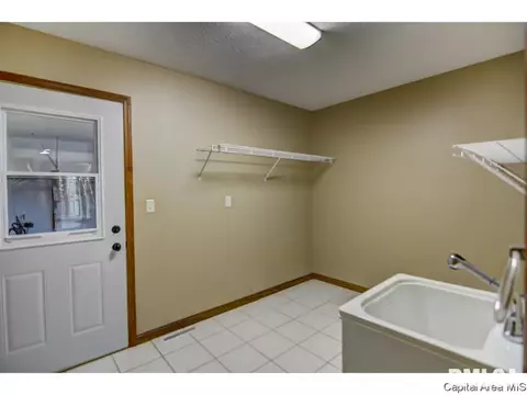 407 Dover Ct, Chatham, IL 62629 photo 28
