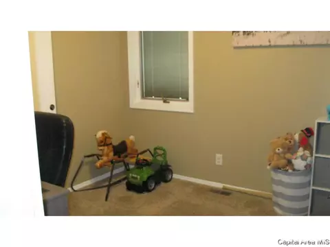 224 N Durkin, Springfield, IL 62702 photo 15