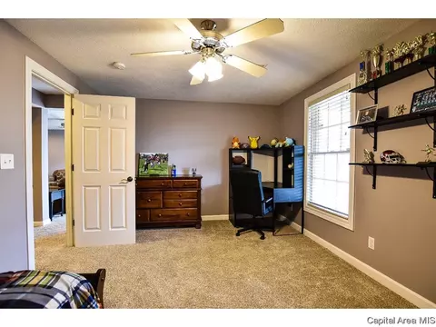 6420 Winterberry Ln, Springfield, IL 62712 photo 23