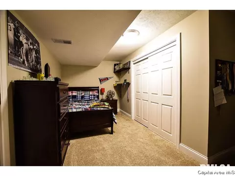 6420 Winterberry Ln, Springfield, IL 62712 photo 22