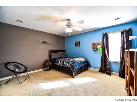 6420 Winterberry Ln, Springfield, IL 62712 photo 19