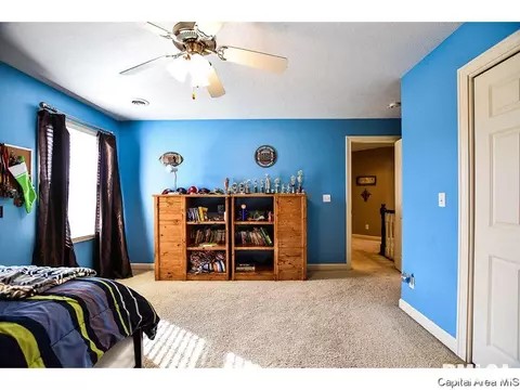 6420 Winterberry Ln, Springfield, IL 62712 photo 20