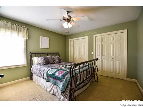 6420 Winterberry Ln, Springfield, IL 62712 photo 17