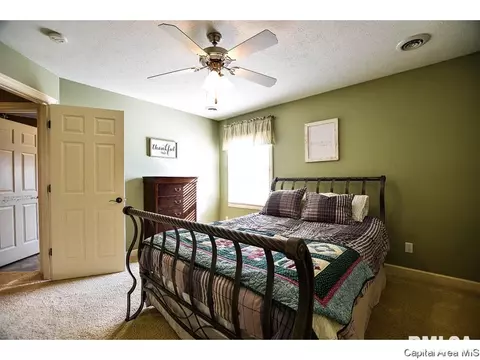 6420 Winterberry Ln, Springfield, IL 62712 photo 18