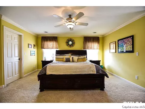 6420 Winterberry Ln, Springfield, IL 62712 photo 11