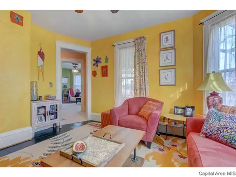 255 E Douglas St, Greenview, IL 62642 photo 8