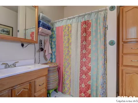 255 E Douglas St, Greenview, IL 62642 photo 30