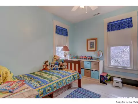 255 E Douglas St, Greenview, IL 62642 photo 28