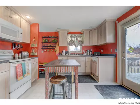 255 E Douglas St, Greenview, IL 62642 photo 4