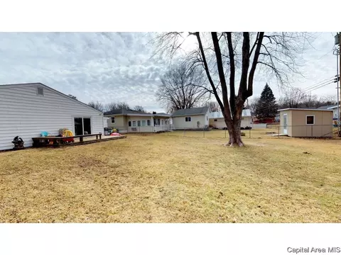 1824 Lee St, Springfield, IL 62703 photo 28