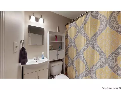 1824 Lee St, Springfield, IL 62703 photo 23