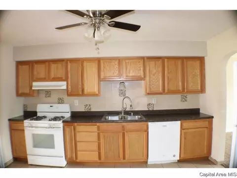 1824 Lee St, Springfield, IL 62703 photo 5