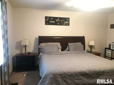 2628 Steiler Pl, Springfield, IL 62703 photo 11